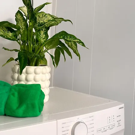 Apartment Lovely, Bright In Great Location