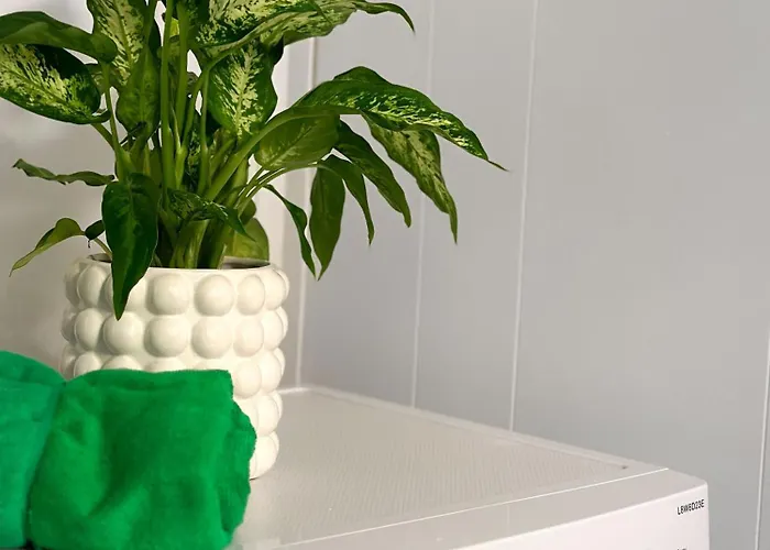 Appartement Lovely, Bright In Great Location